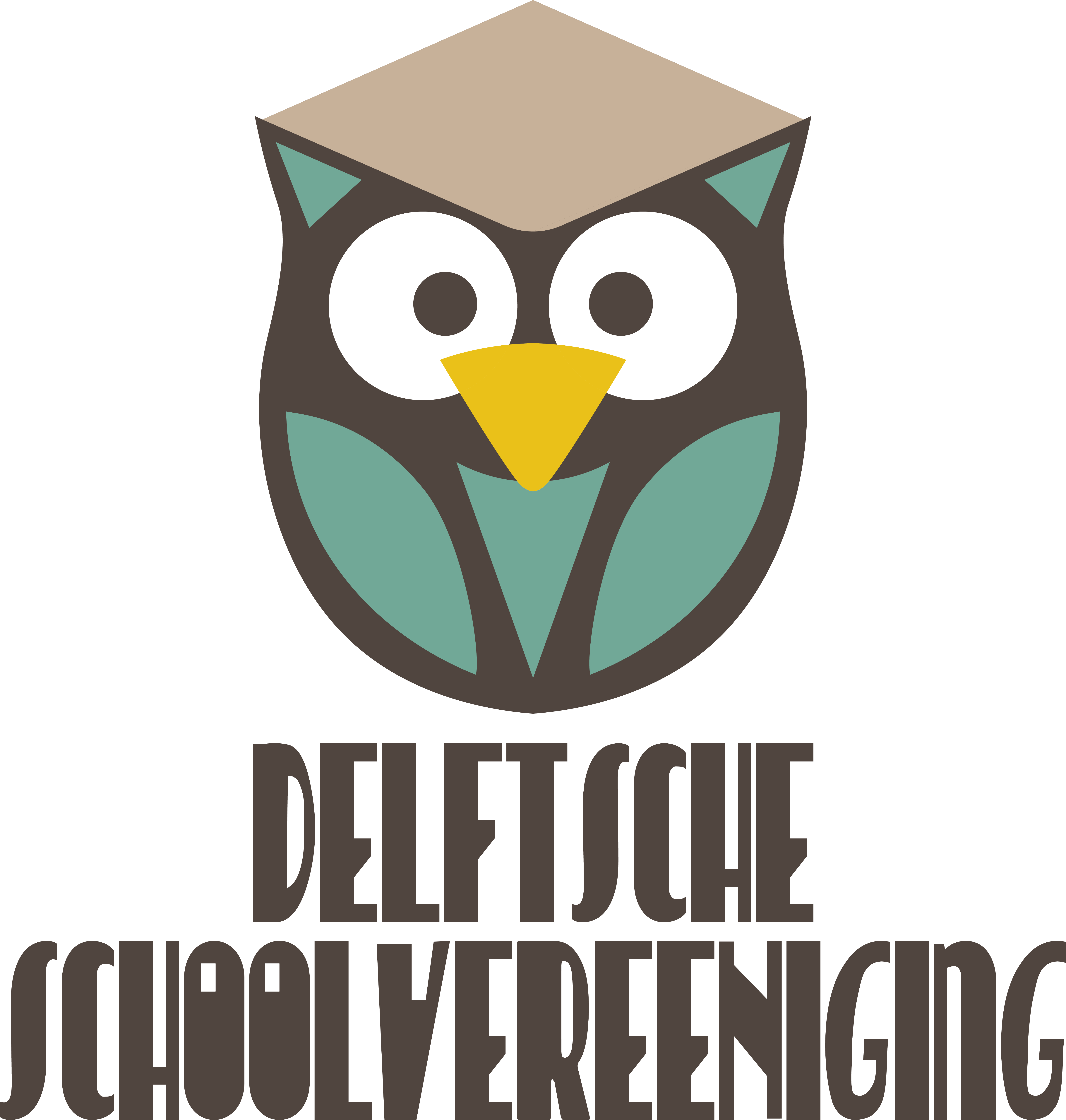 DSV Delft logo